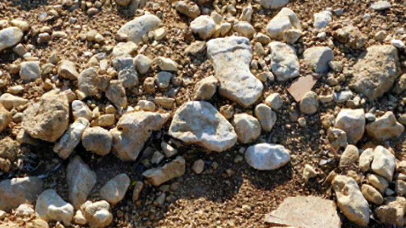 Cade analisa venda de mineradora brasileira de terras raras aos EUA