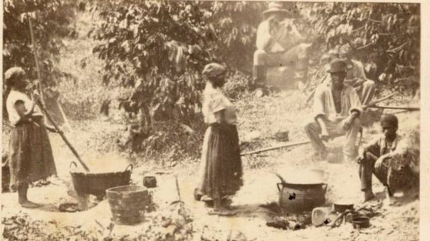 Homens e mulheres escravizados trabalhando em fazenda de café no Brasil — Foto: NY Public Library