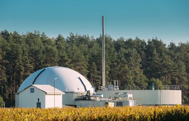 Biogas Plant Or Bioreactor For Fermentation Of Chicken Manure. (Envato/Envato)