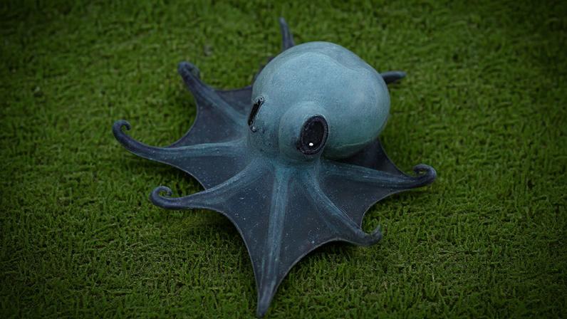 Polvo azul recém-descoberto foi registrado por veículo submarino operado remotamente durante expedição em águas profundas nas Ilhas Galápagos.