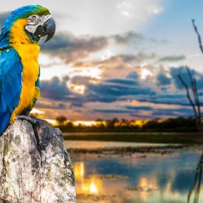 Bonito busca romper marca de 300 mil turistas