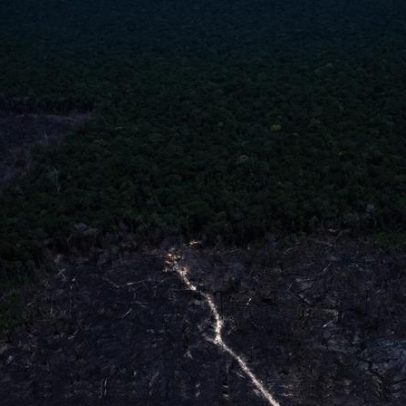 Países debatem medidas sobre combustível fóssil e desmatamento ilegal