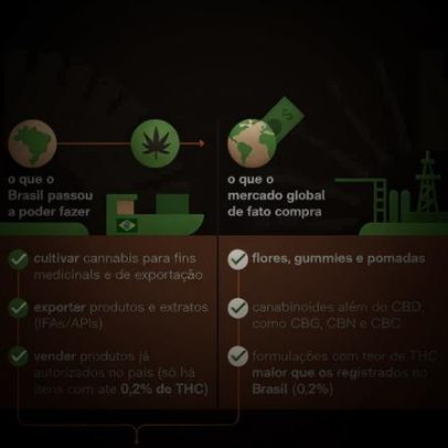 Brasil libera exportação de cannabis e reconfigura mercado nacional