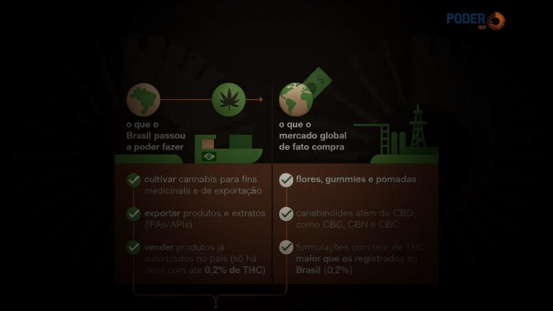 O catálogo nacional precisa crescer, novas formulações precisam chegar às farmácias e o nível de THC precisa ser tratado como dado farmacológico, e não mais como se fosse radioativo, diz a articulista