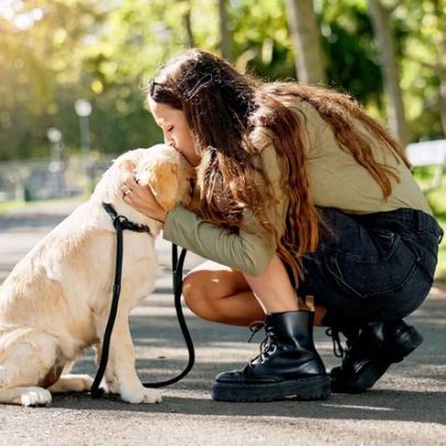 Cachorro não quer passear: causas e o que fazer
