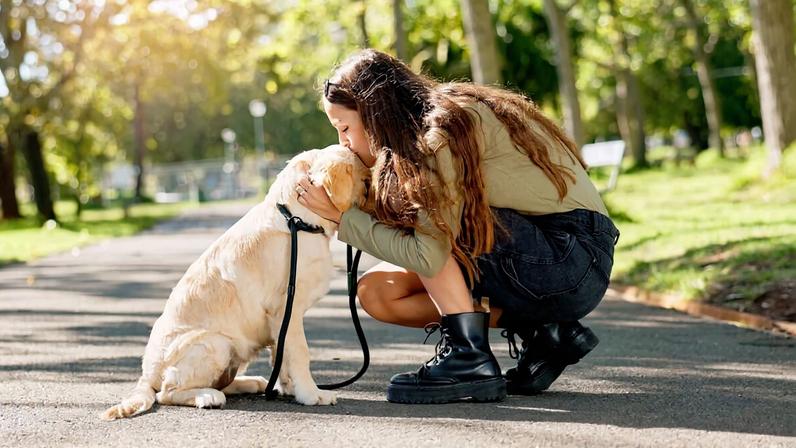 Observar os sinais do cachorro durante os passeios é importante, pois a resistência pode indicar desde fatores emocionais até desconfortos físicos