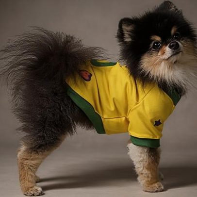 Copa do Mundo inspira nomes de jogadores mais usados em pets