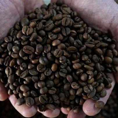 Exportações globais de café verde sobem 0,8% em março, segundo OIC
