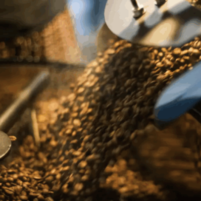 Receita com exportações de café cai 17% em abril