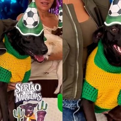Cachorro acolhido por cantora na Paraíba ganha festa de meio ano de adoção