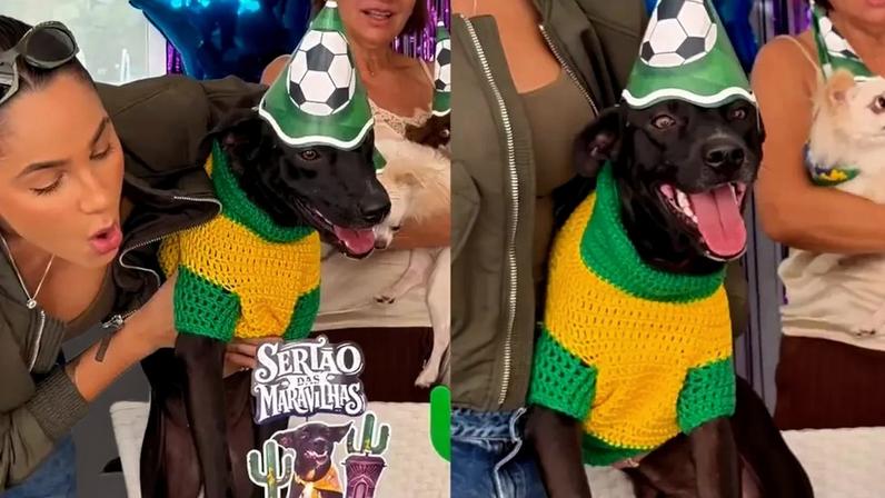 Cachorro acolhido por cantora na Paraíba ganha festa de meio ano de adoção