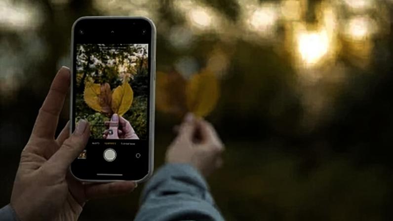 Funções como grades, controle de exposição e troca de lentes elevam a qualidade da foto