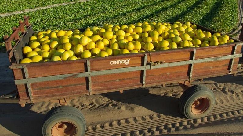Agronegócio quer renegociar dívidas de até R$ 180 bilhões