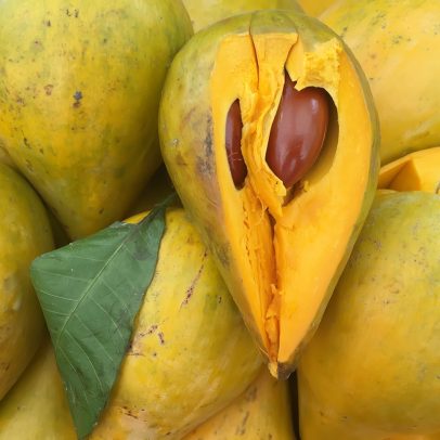 Fruta rica em fibras, vitamina C e antioxidantes ganha destaque