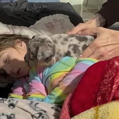 Menina reage ao ganhar cãozinho dos sonhos; mãe diz que chorou junto