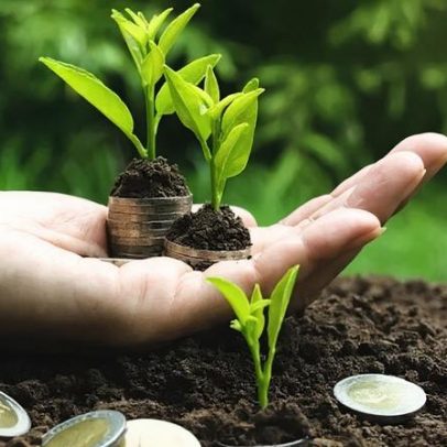 Governo lança programa para captar recursos para projetos sustentáveis