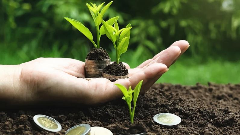 Instituições financeiras vencedoras do leilão devem assumir compromisso de apoiar cadeias produtivas locais