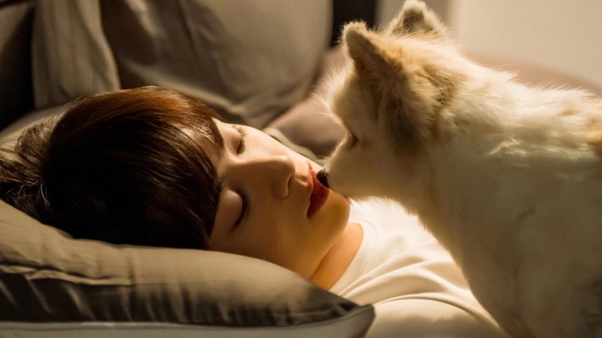 Com Park Gyu-young e Cha Eun-woo, Um Bom Dia para Ser um Cão é um romance inusitado em que uma professora se transforma em cachorro — Foto: Divulgação/My Drama List