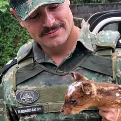 Tenente da PM viraliza ao compartilhar resgates de animais em MG