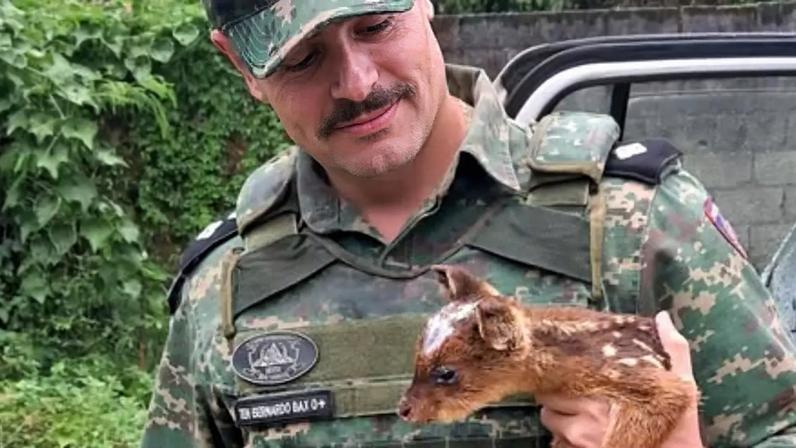 Bernardo Bax faz sucesso nas redes sociais