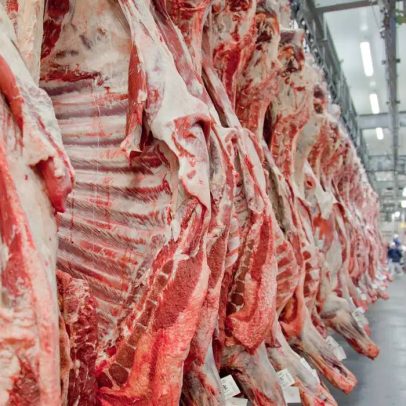 UE solicita ao Brasil informações adicionais sobre carnes exportadas