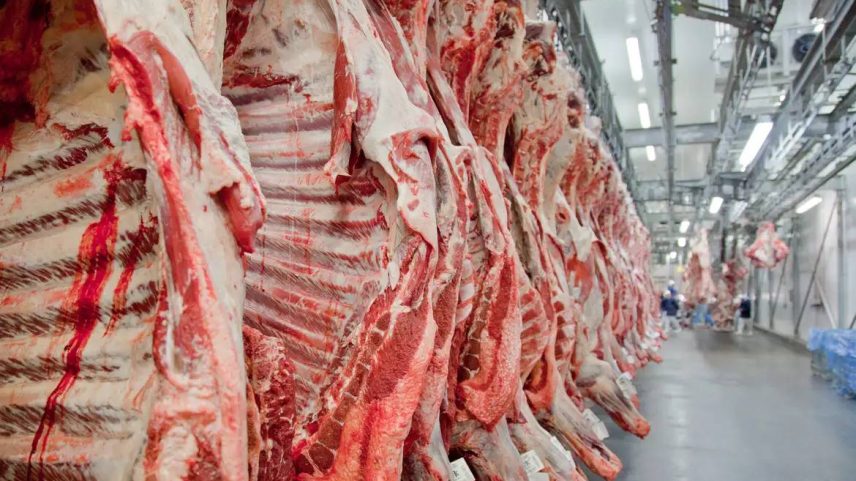 Foto: Divulgação/Abiec
