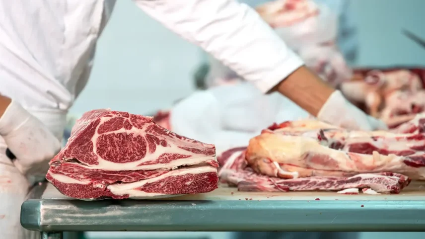 Trabalhador em um frigorífico, vestindo uniforme branco e luvas descartáveis, corta pedaços de carne bovina com uma faca sobre um balcão de aço inoxidável.