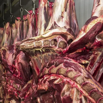 Brasil precisa atuar para manter exportação de carne à Europa