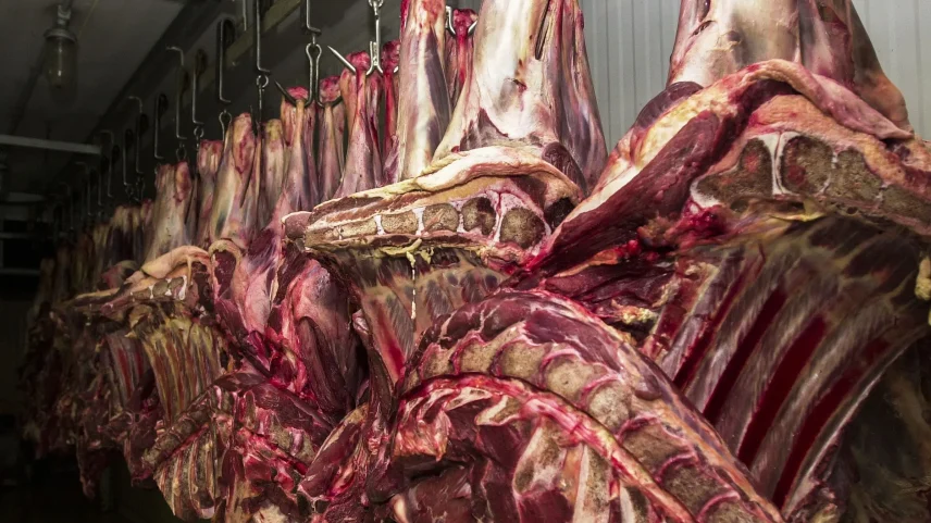 Brasil precisa atuar para manter exportação de carne à Europa