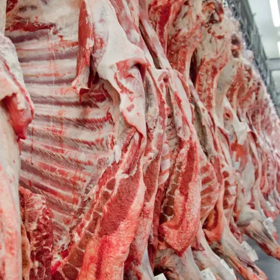 Governo mira reverter veto da UE a carnes e animais brasileiros