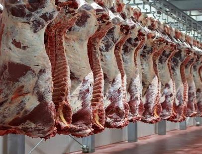Governo brasileiro busca reverter proibição de carnes na UE