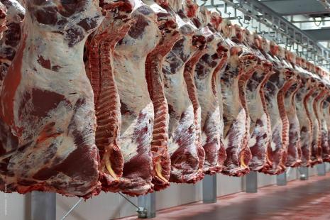 Brasil é grande exportador de carnes para a União Europeia
