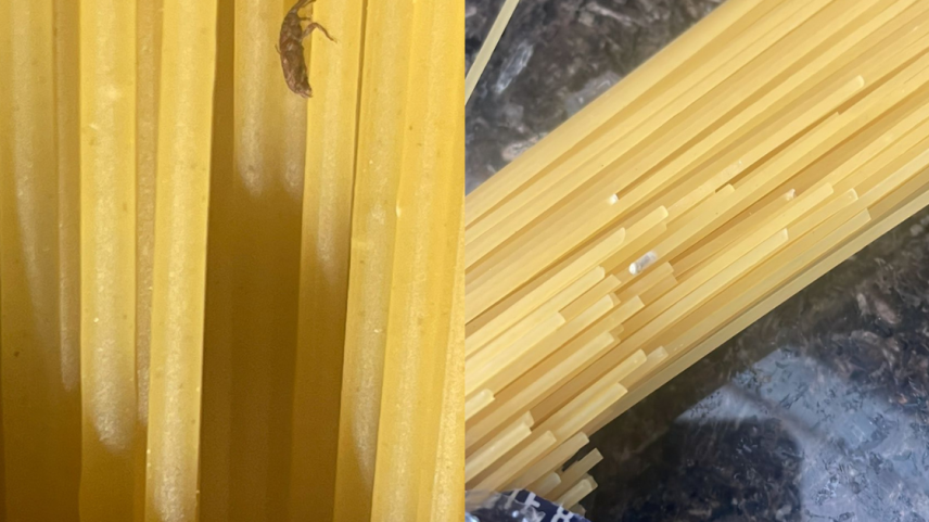 Consumidora encontra inseto em pacote de macarrão; saiba o que fazer