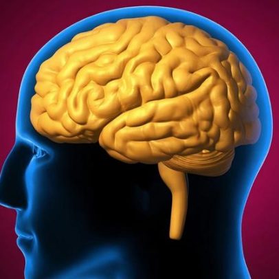 Médico aponta tempo de recuperação cerebral após consumo de álcool