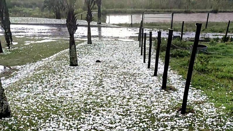 Chuva forte atingiu diferentes regiões do estado de São Paulo e o temporal provocou queda de árvores, danos em imóveis e falta de energia - Metrópoles