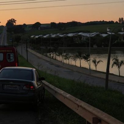 Cavalo morre após batida com carro na MG-050; duas pessoas ficam feridas