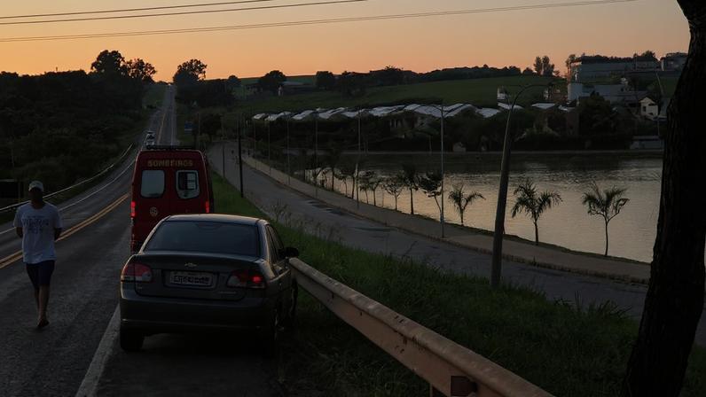 Cavalo morreu após ser atingido por carro na MG-050, em Pimenta