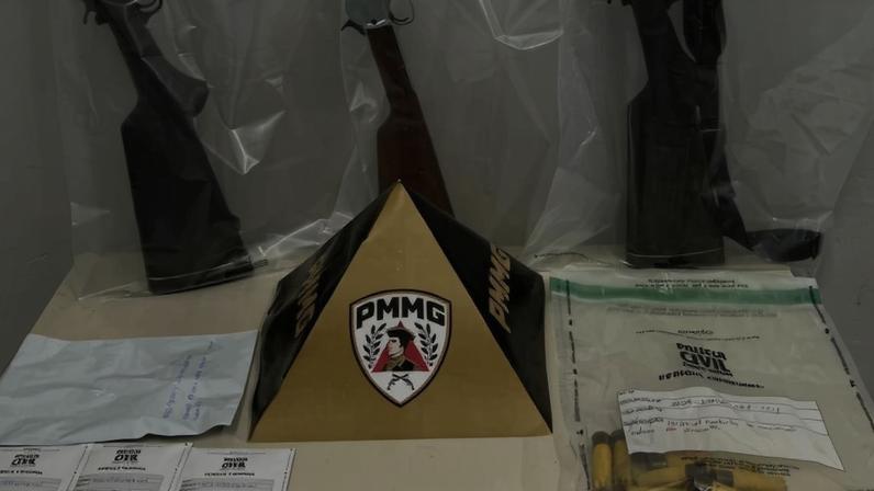 As armas e munições foram apreendidas pela polícia