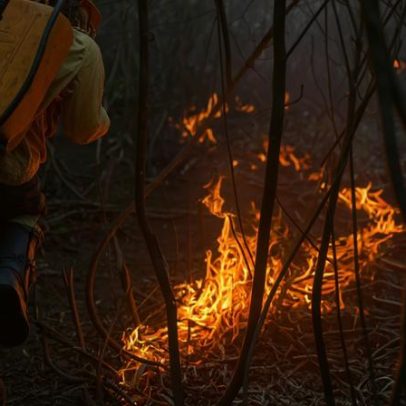 Mais de 12 mil mineiros ficaram sem energia por incêndios em vegetação
