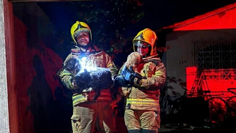 Bombeiros resgatam cães de incêndio em Ituiutaba