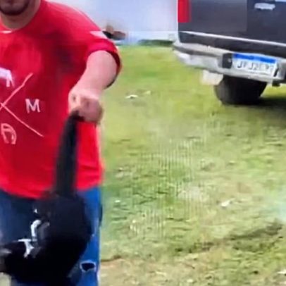 Polícia identifica dupla em vídeo de gato pendurado pelo rabo em MG
