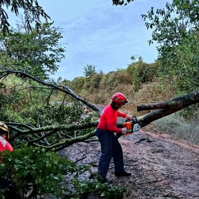 Chuva após alerta amarelo provoca destruição em cidades mineiras