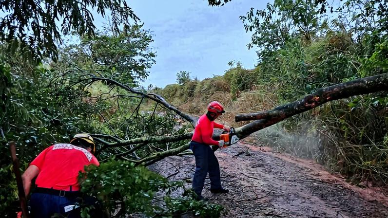 Bombeiros atuam em queda de árvore em Andradas após tempestade no fim de semana