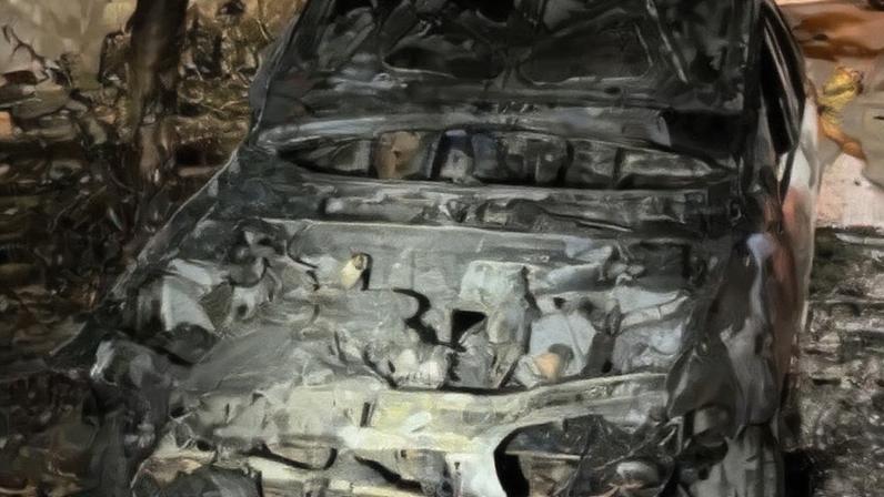 As chamas altas queimaram uma árvore e danificaram a rede elétrica