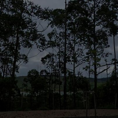 Avião faz pouso de emergência em área de mata em Alphaville, Nova Lima