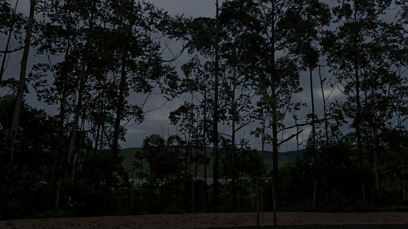 Pouso de emergência ocorreu em área de mata nos arredores do condomínio Alphaville, em Nova Lima
