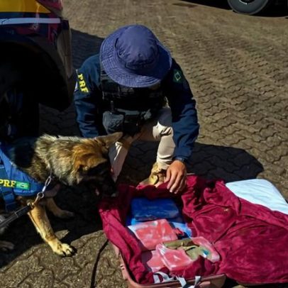 PRF apreende mais de 9 kg de maconha em ônibus na BR-365