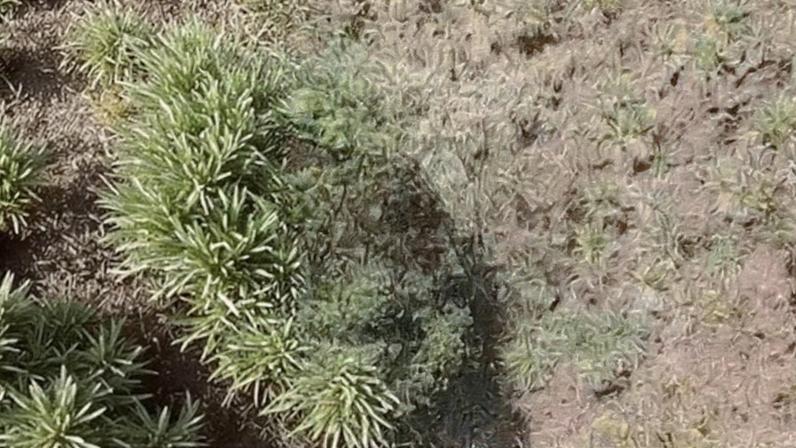 Mulher foi localizada e resgatada na Serra do Rola-Moça