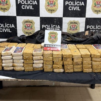Polícia encontra R$ 3 milhões em cocaína escondida sob esterco no interior de SP