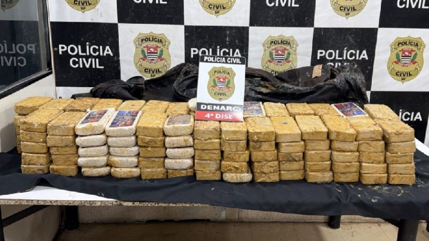 Polícia Civil apreende 156 quilos de cocaína escondida sob esterco e naftalina em um caminhão em São Roque (SP)